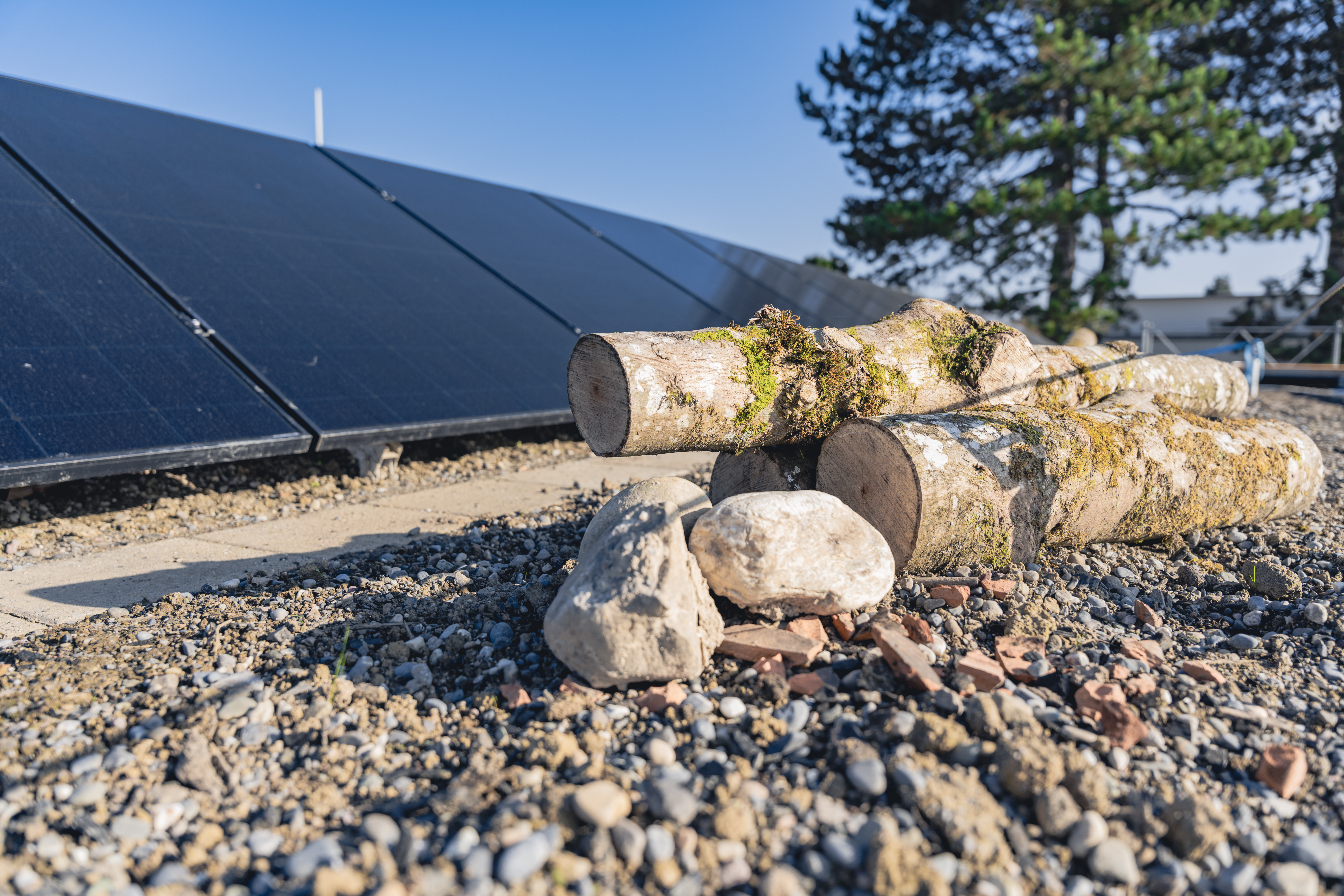 Solaranlage.jpg