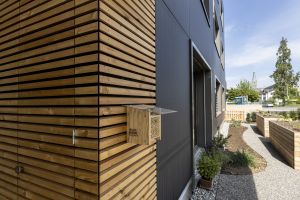 arento ag-nachhaltige architektur_Holz in Kombination mit Solargläser_Plusenergiehaus_Solararchitektur.jpg
