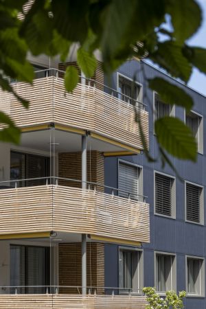 arento ag-nachhaltige architektur_Solararchitektur_Holz trifft Photovoltaik_Plusenergiehaus.jpg